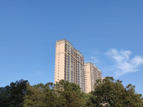 建筑學(xué)家提醒 一樓和頂樓不是最坑，這“三個(gè)樓層”才真正要想辦法避開